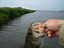 2005-06-27 029.JPG
